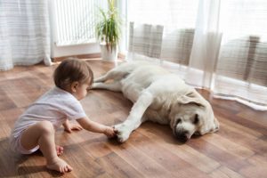 top flooring options for pet owners